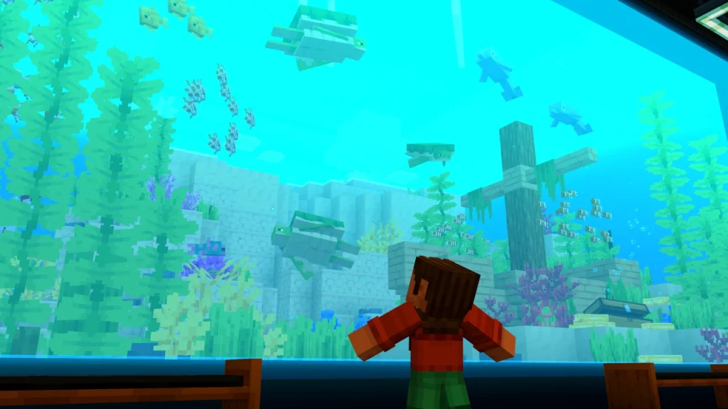 Minecraft map water view